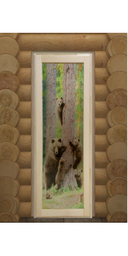 Дверь для бани и сауны Классика-2 с Фотопечатью