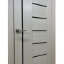 Межкомнатная дверь экошпон Порта-29 Black Bianco Veralinga со стеклом