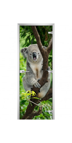 Дверь стеклянная Animals-10 с фотопечатью