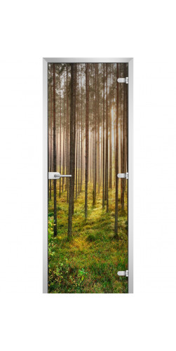 Дверь стеклянная Forest-13 с фотопечатью