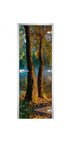 Дверь стеклянная Forest-06 с фотопечатью