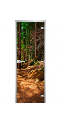 Дверь стеклянная Forest-17 с фотопечатью