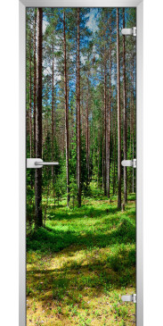 Дверь стеклянная FOREST 03 с фотопечатью