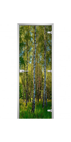 Дверь стеклянная Forest-20 с фотопечатью